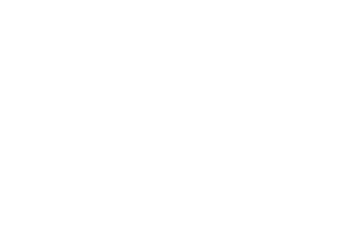 US Army